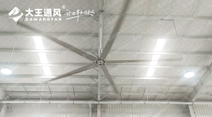 大王通風(fēng)攜手維通利電氣：告別炎熱困擾，釋放清涼一夏！