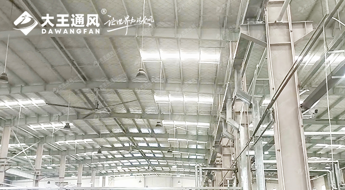 大王通風(fēng)攜手維通利電氣：告別炎熱困擾，釋放清涼一夏！