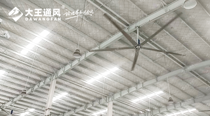 大王通風(fēng)攜手維通利電氣：告別炎熱困擾，釋放清涼一夏！