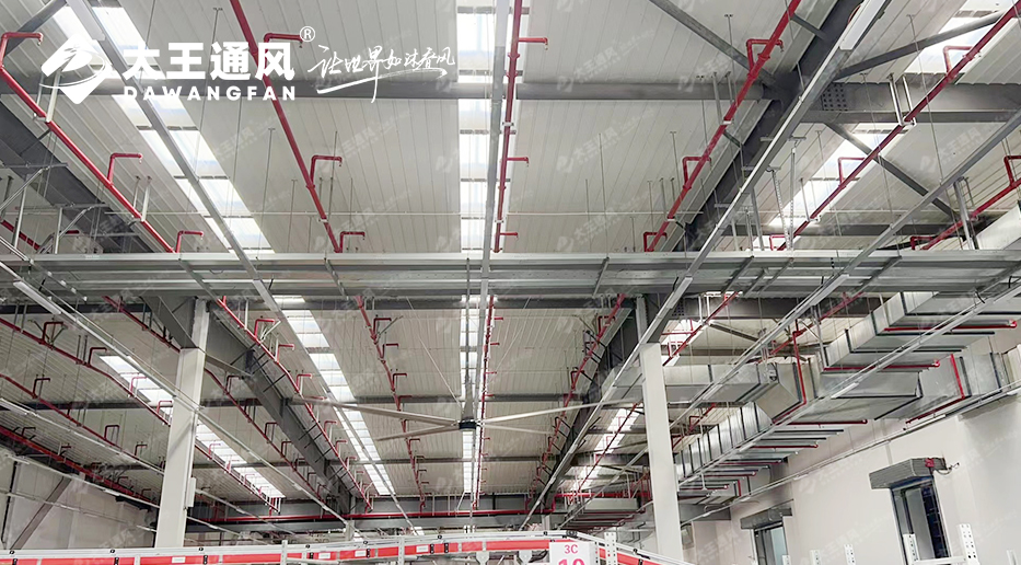 大王通風(fēng)工業(yè)大風(fēng)扇：卓越性能，無(wú)畏多種安裝結(jié)構(gòu )